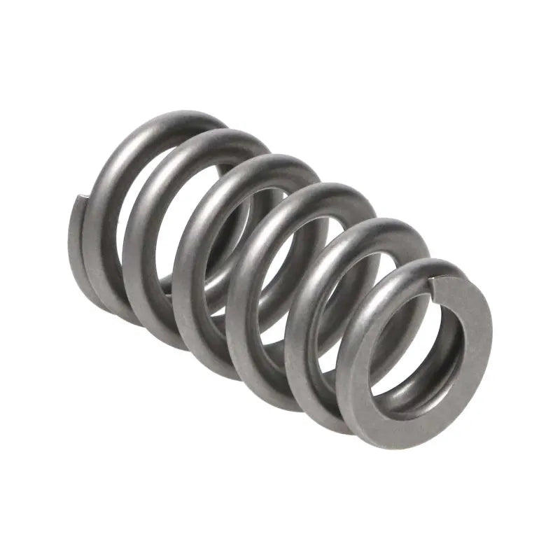 Manley Performance springs