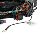 MAIN HARNESS, GM GEN V LT