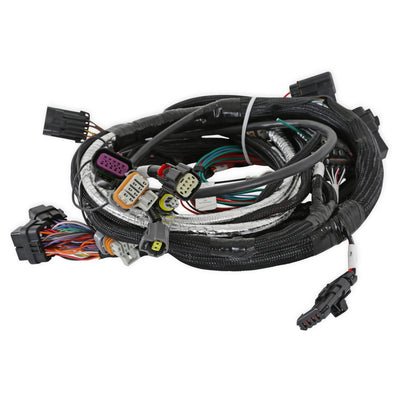 MAIN HARNESS, GM GEN V LT4
