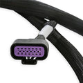 SUB HARNESS, GM GEN V GDI EARLY