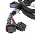 SUB HARNESS, GM GEN V GDI LATE