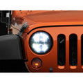 Raxiom black headlights