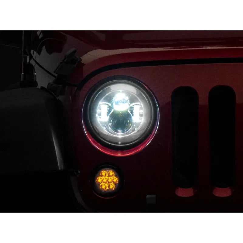 Raxiom chrome headlights