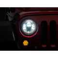 Raxiom chrome headlights