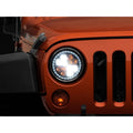 Raxiom chrome headlights