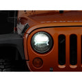Raxiom black headlights