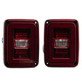 Raxiom tail light detail