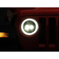 Raxiom black headlights