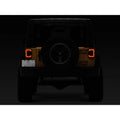 Raxiom tail light detail