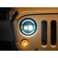 Raxiom black headlights