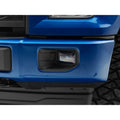 Raxiom fog light kit