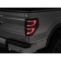 Raxiom chrome tail light