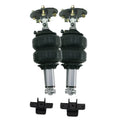 Air Ride Technologies silver shock absorber