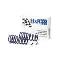 H&R springs