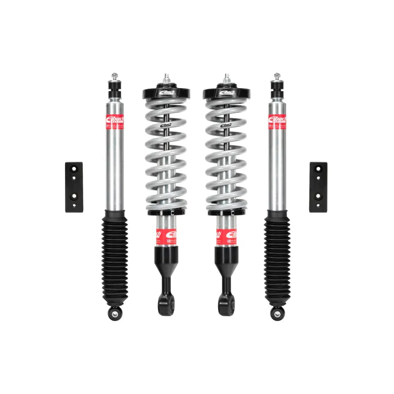 Eibach shock absorber