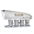 Skunk2 Racing silver intake system