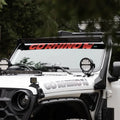 Go Rhino light bar installed view