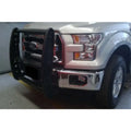Go Rhino side steps
