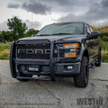 Westin auto part detail