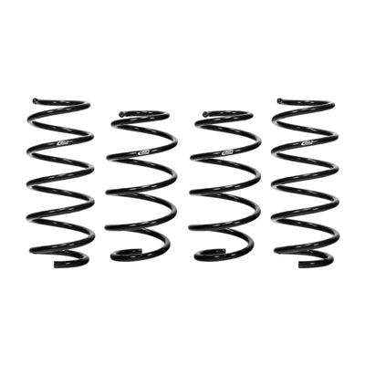 Eibach auto part
