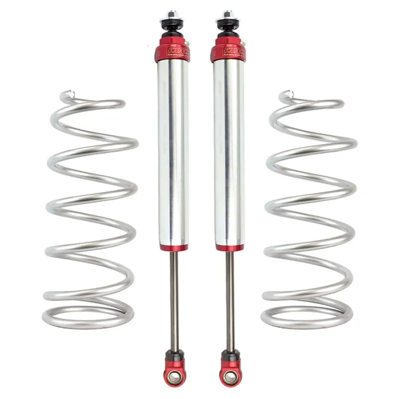 aFe shock absorber