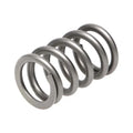 Manley Performance springs close-up