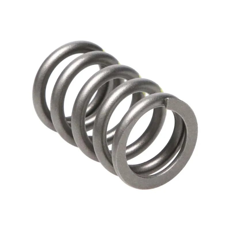 Manley Performance springs