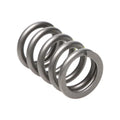 Manley Performance springs detail