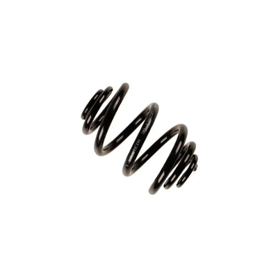 Bilstein springs