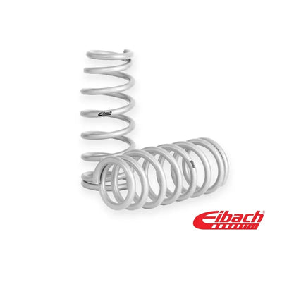 Eibach shock absorber