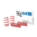 H&R springs detail