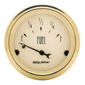 AutoMeter gauge
