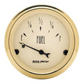 AutoMeter gauge detail