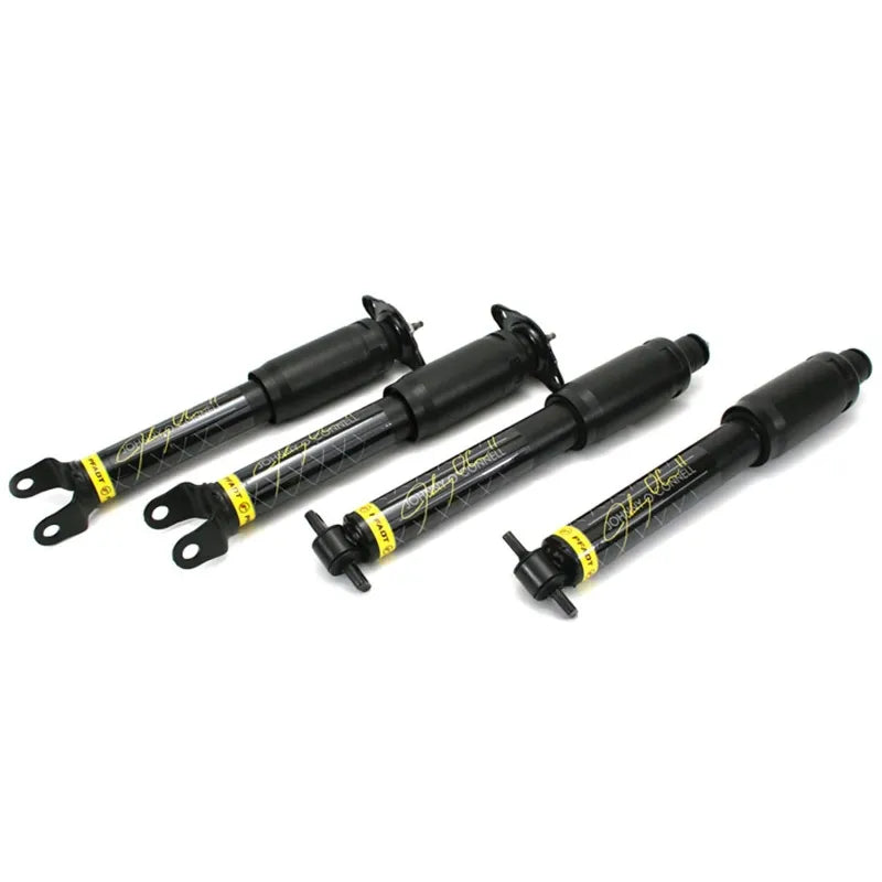 aFe shock absorber