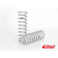 Eibach shock absorber