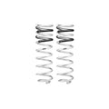 Eibach springs