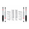 Eibach shock absorber detail