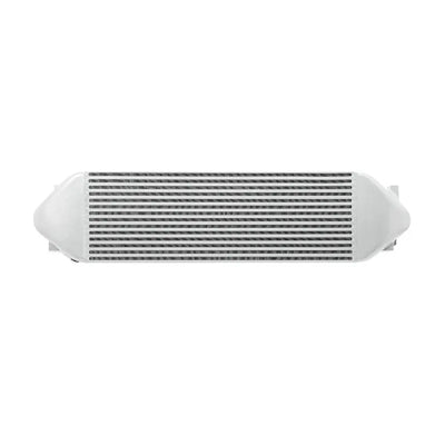 Mishimoto silver intercooler