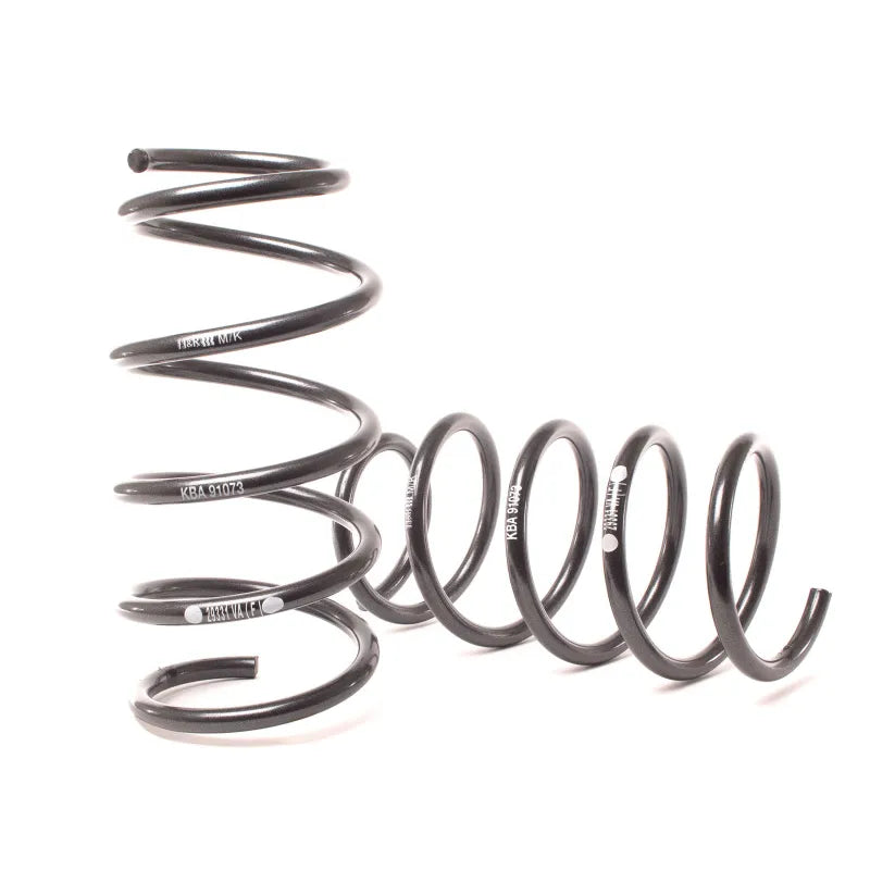 H&R springs