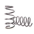 H&R springs detail