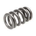 Manley Performance springs installed view
