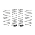 Eibach lift kit
