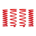 Eibach lift kit close-up