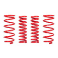 Eibach lift kit detail
