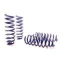 H&R springs
