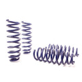 H&R springs detail