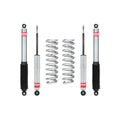 Eibach shock absorber close-up