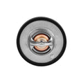 Mishimoto auto part installed view