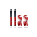Pedders shock absorber