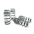 H&R springs detail